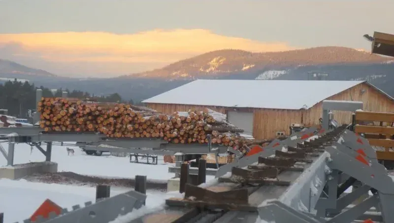 Photograph of Sorting line